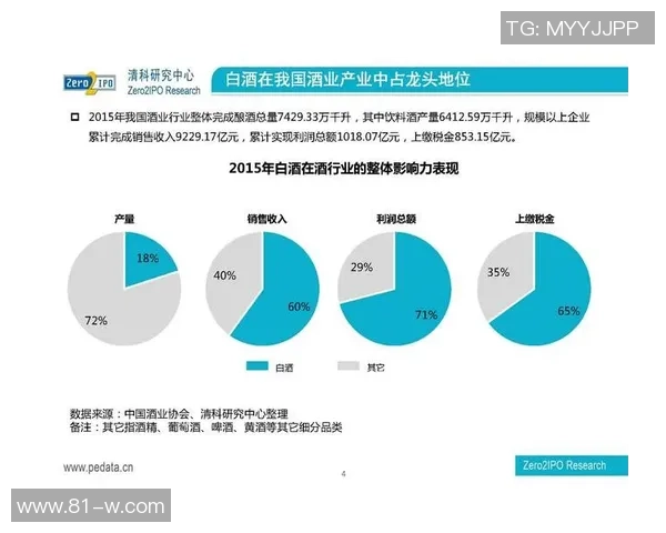 2016年足球冬季转会市场回顾与分析各大俱乐部引援策略与影响